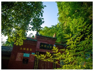 P1040010