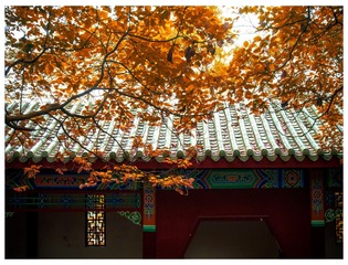 P1040047