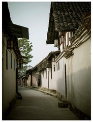 P1050967