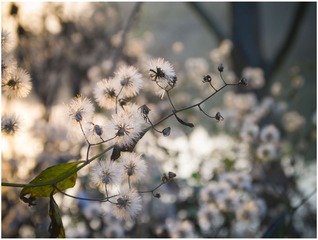 P1060439