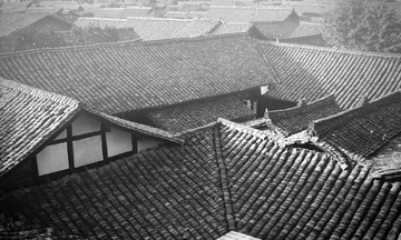 R0010084