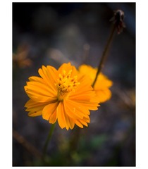 P1040579