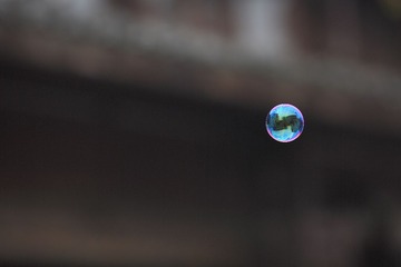 梦幻西溪