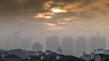 P1020087