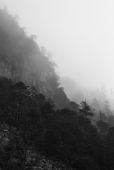 _G108720