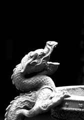 _G108804