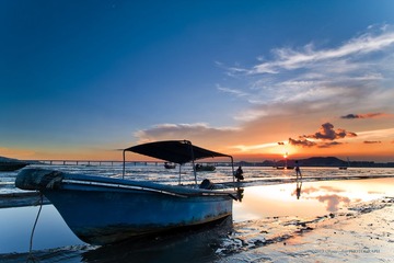 DSC_5533.jpg