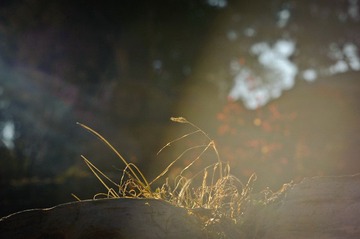 DSC_5439.JPG