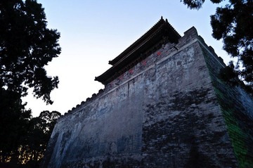 DSC_6845.JPG