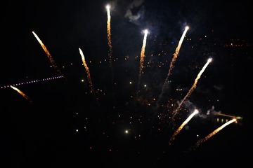 DSC_0347 cy