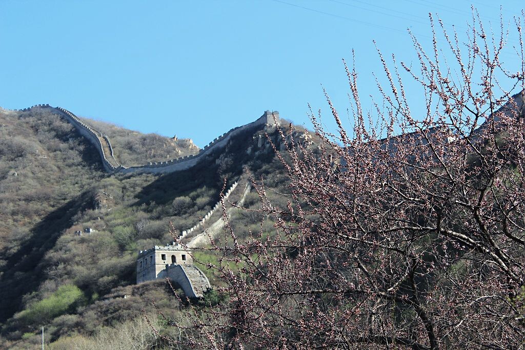 初春古长城一摄于北京八达岭古长城