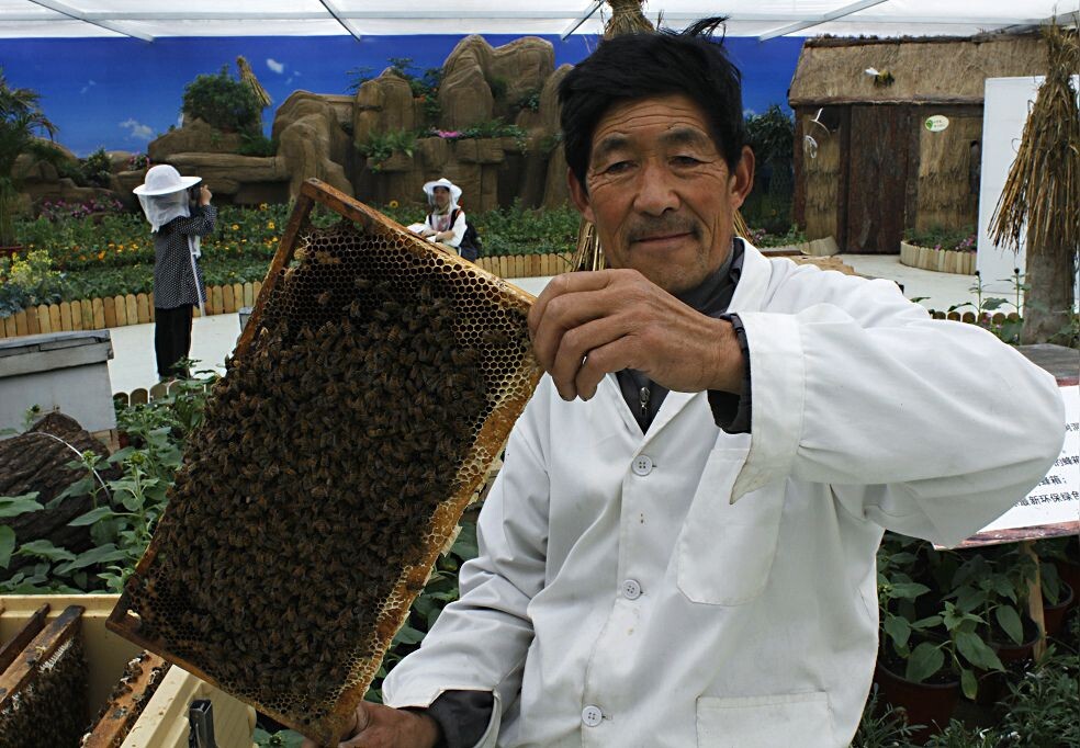 胡蜂养殖培训公司