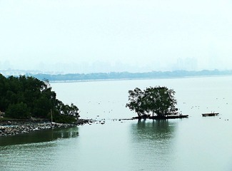 P2103502.jpg