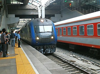 P5075396.jpg