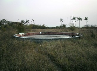 _SDI0044_2.jpg