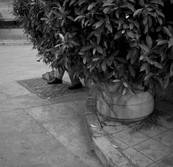 _SDI0178_bw.jpg