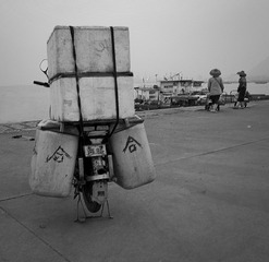 _SDI0200_bw2.jpg