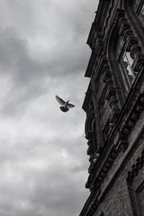 HuLun-201409270051