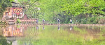 野趣