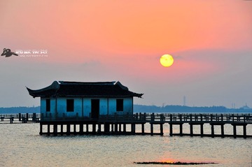 _DSC7485_01
