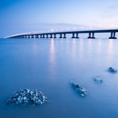 _DSC80851
