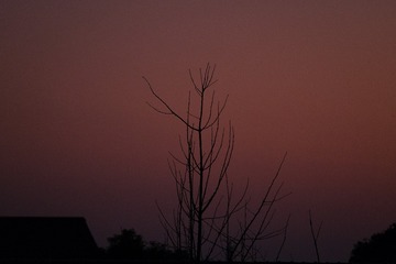 C42F8A35-75D9-4408-A018-1A4F4A83D674/L0/001