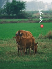 2B71232B-01F0-477E-B1D5-8E5D791FB6D7/L0/001