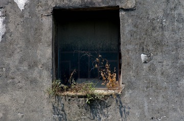 _IGP0105ww