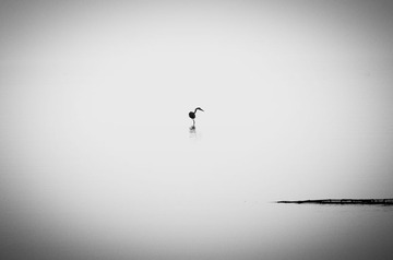 海岸之晨1