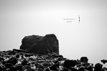 海岸之晨2