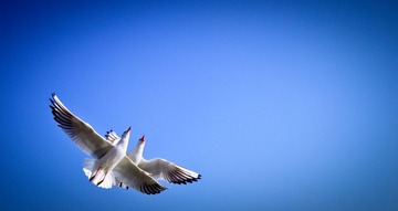 昆明春季的天空6
