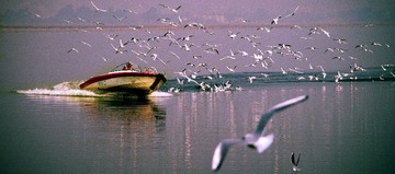 昆明春天－－海埂大坝6JPG