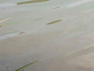 1000109682