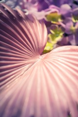 253A46F0-59FB-442F-AEDF-D35E34C3122F/L0/001