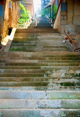 长长的步道