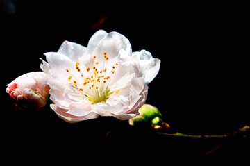 _IGP5406-编辑