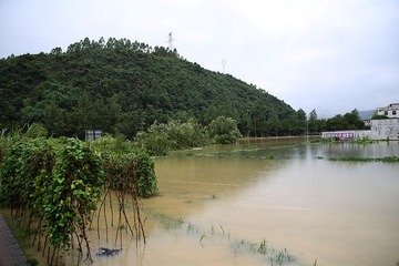 IMG_0660.JPG