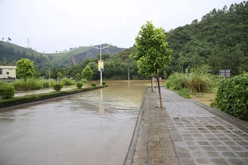 IMG_0661.JPG