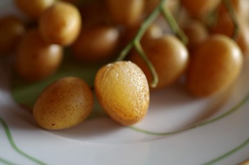 IMGP4538_