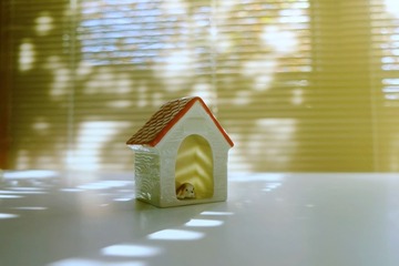 kennel