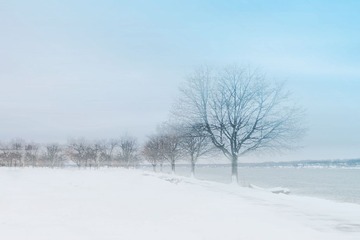 snow mist