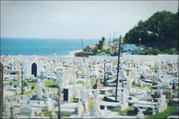 cemetery