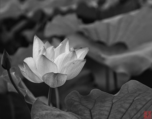 BC3592D5-4494-4D3D-8D88-227691F87FB3/L0/001