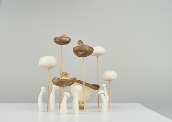 mushrooms027
