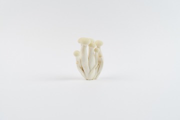 mushrooms004