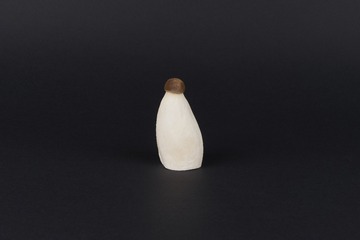 mushrooms045