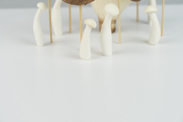 mushrooms029