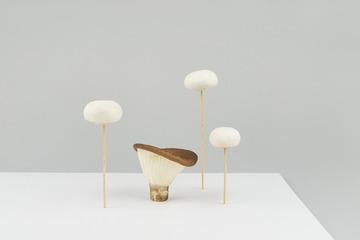 mushrooms022