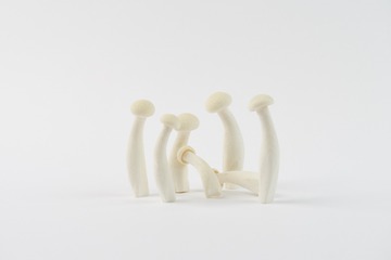 mushrooms009