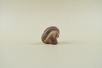 mushrooms002